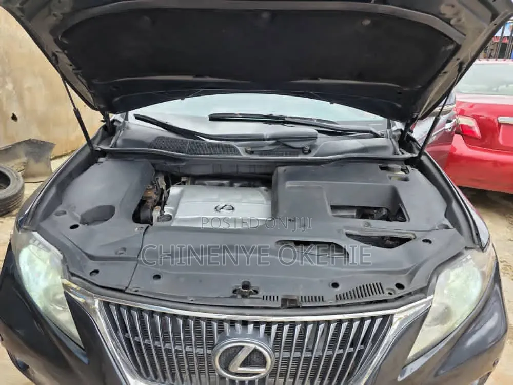 Lexus RX 2010 Gray