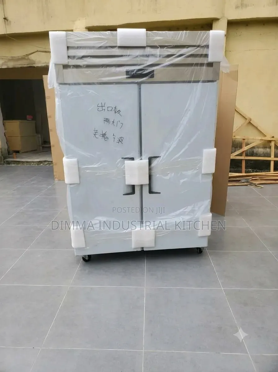Industrial 2 Doors Freezer