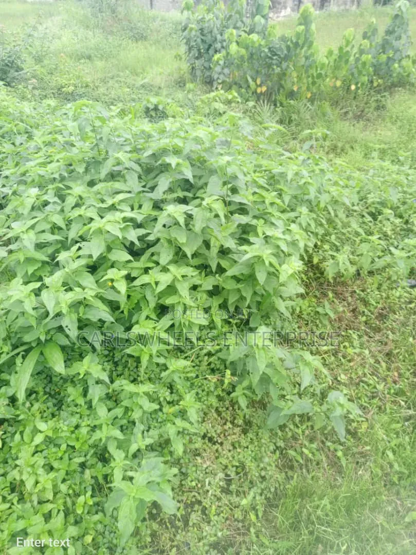 900squre Meter Land Available in Mayfair Garden Estate Ibeju Lekki.