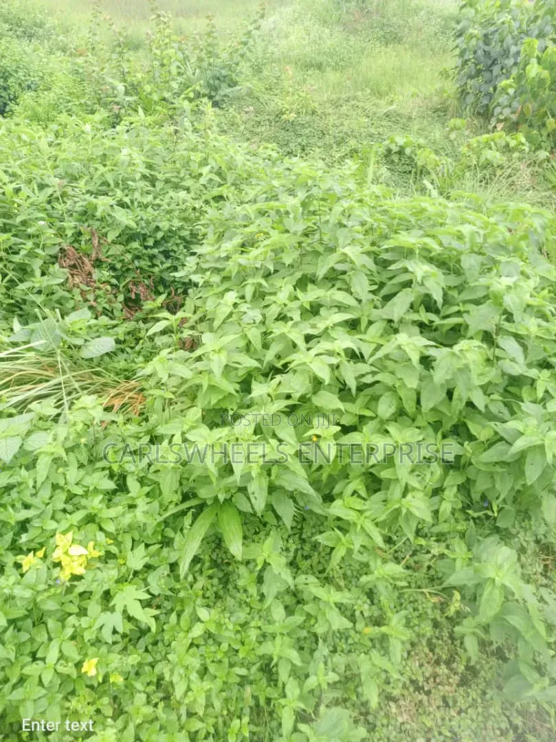 450 Square Meter Land Available in Mayfair Garden Estate Ibeju Lekki.