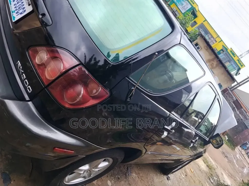 Lexus RX 300 2001 Matt Black