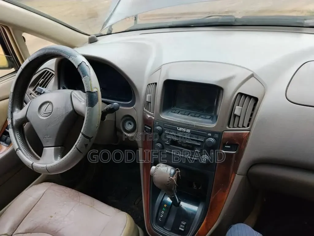 Lexus RX 300 2001 Matt Black