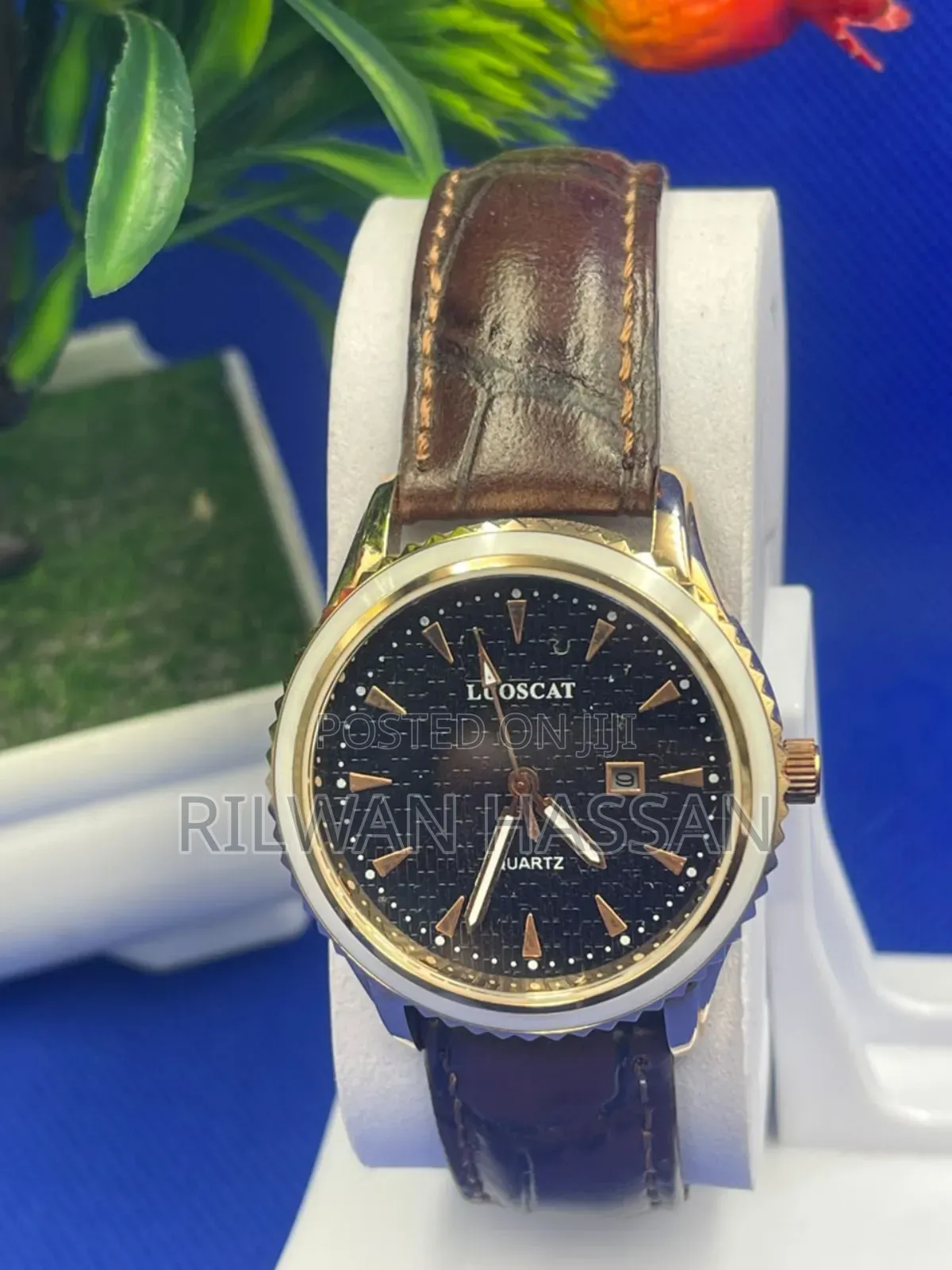 Luoscat Classic Edition Female Leather Wrist Watch