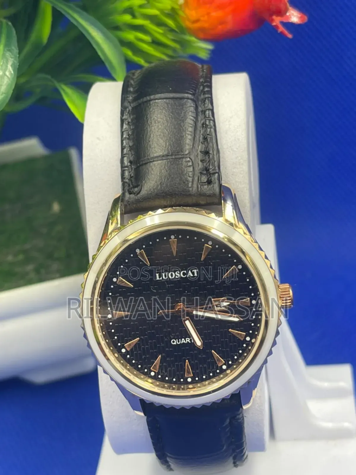 Luoscat Classic Edition Female Leather Wrist Watch