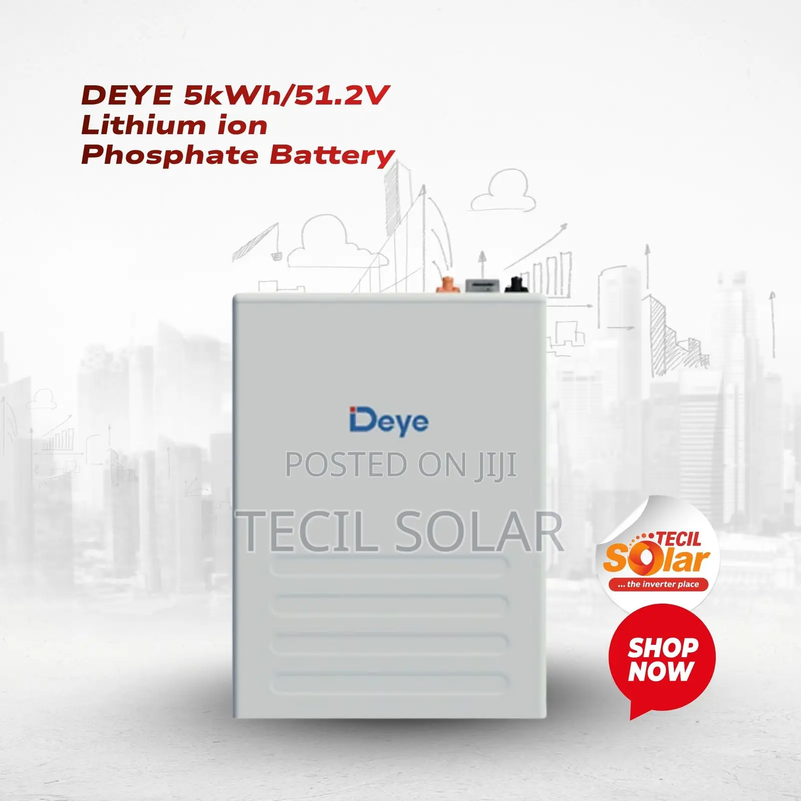 DEYE 5kWh/51.2v Lithium Ion Phosphate Battery