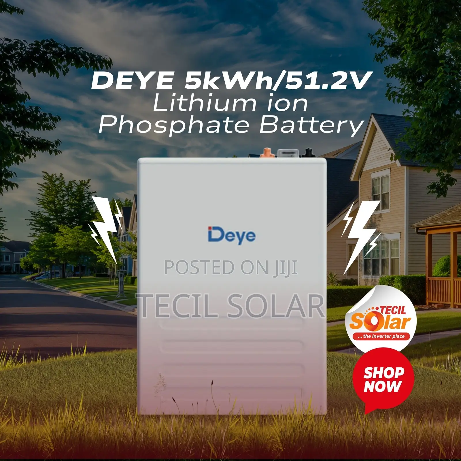 DEYE 5kWh/51.2v Lithium Ion Phosphate Battery