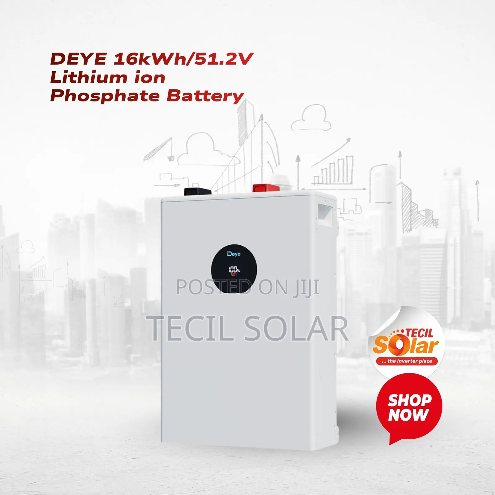 DEYE 16kWh/51.2v Lithium Ion Phosphate Battery