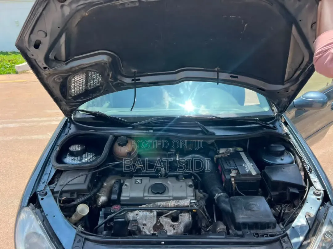 Peugeot 206 2004 Green