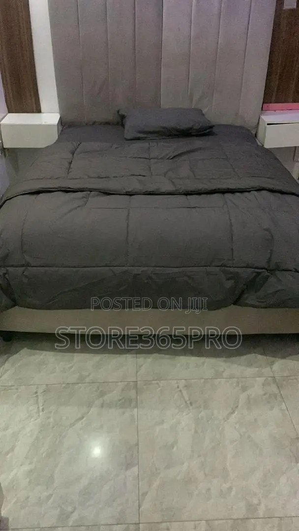 Furnished 2bdrm Block of Flats in Iju-Ishaga for rent