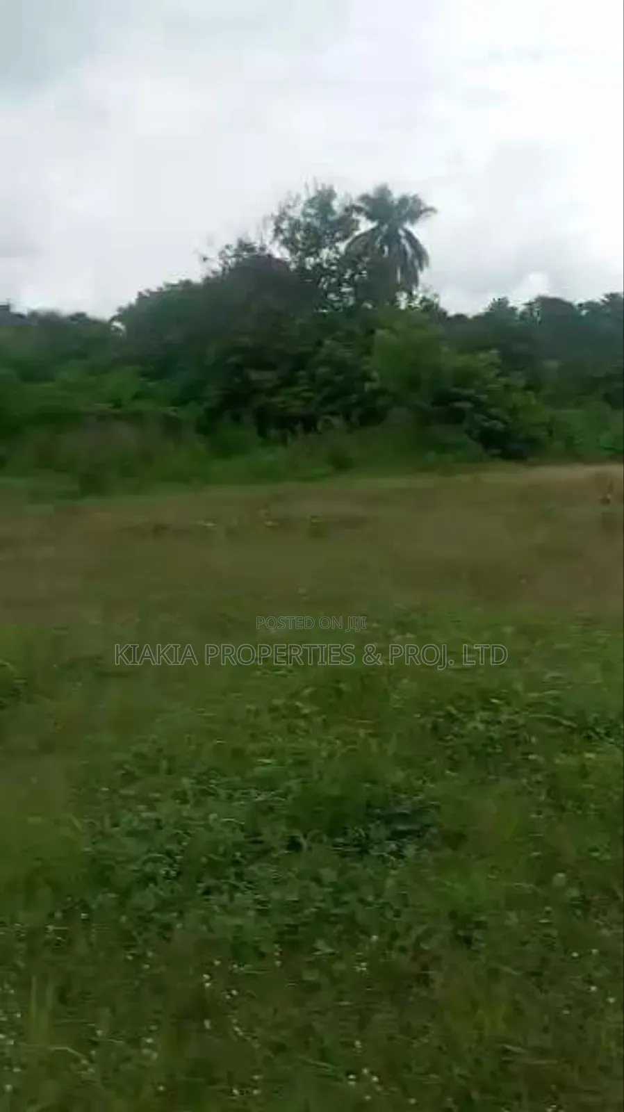 Acres of Land for Sale