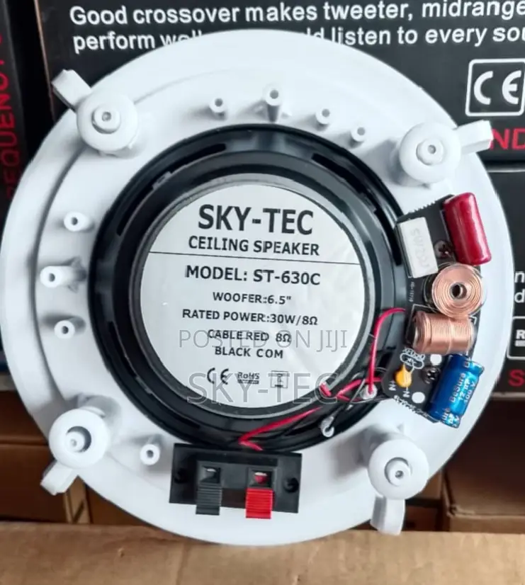 ORIGINAL Professional Sky-Tec Smart Home Pop Ceiling Speaker 30Watts
