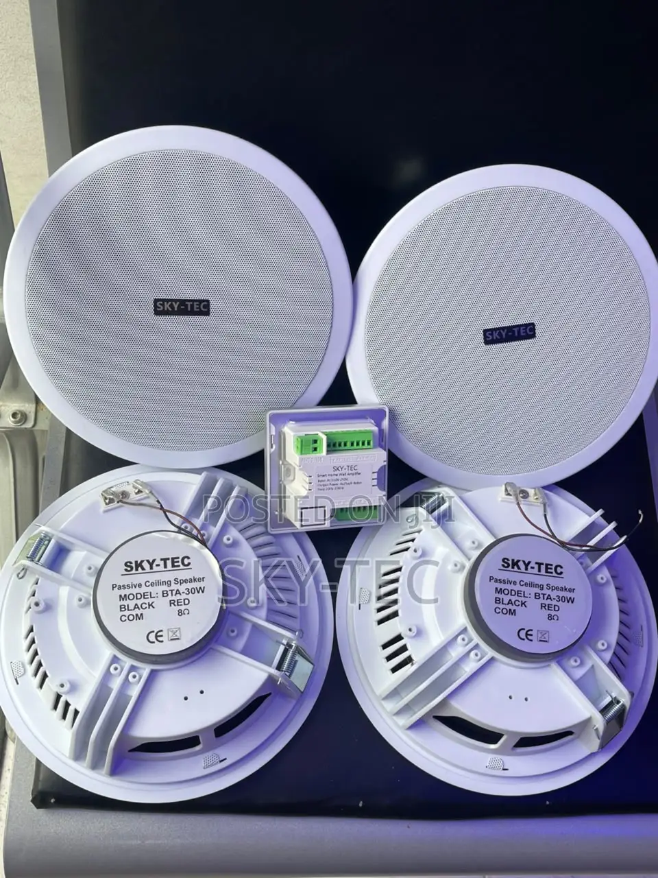 Professional Sky-Tec 4-Pop Ceiling Speaker With 1-Smart Wall Amplifier