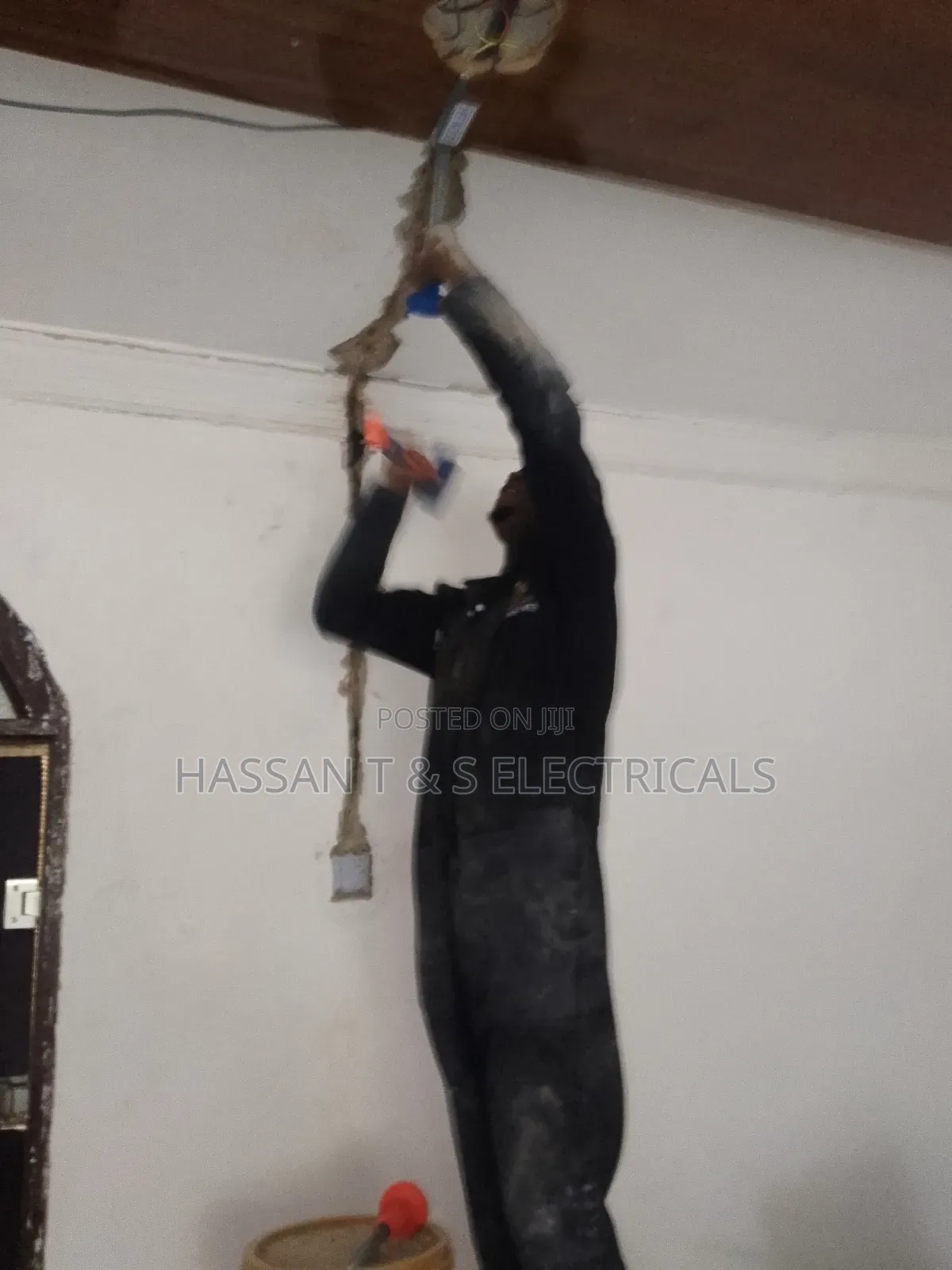 Professional Electrician