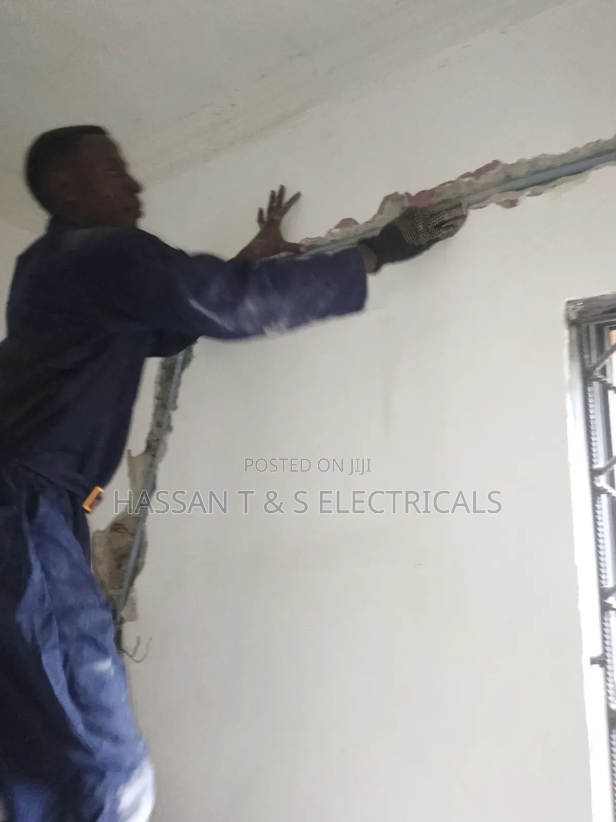 Professional Electrician