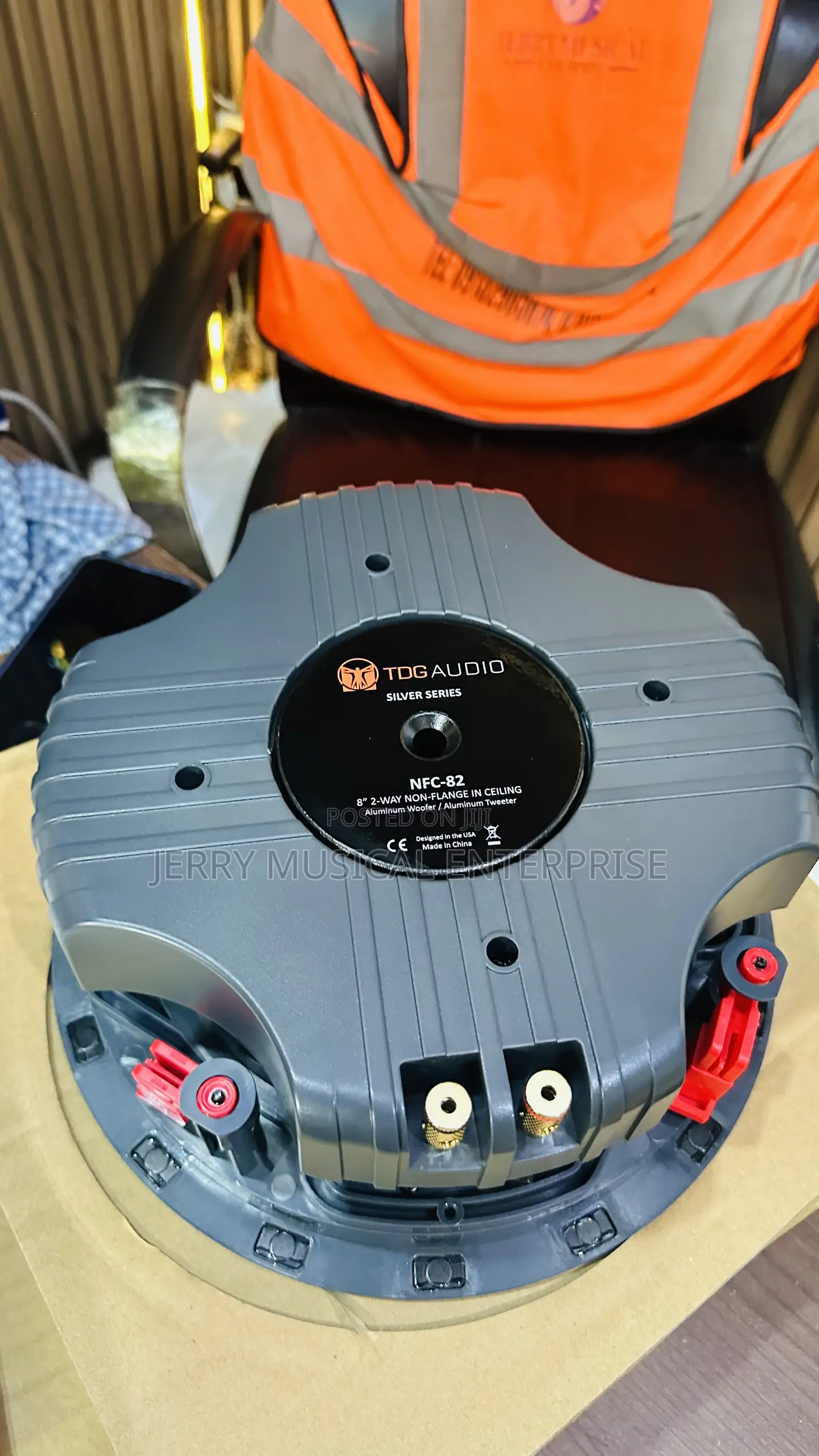 TDG Audio Heavy Ceiling Speakers 300w