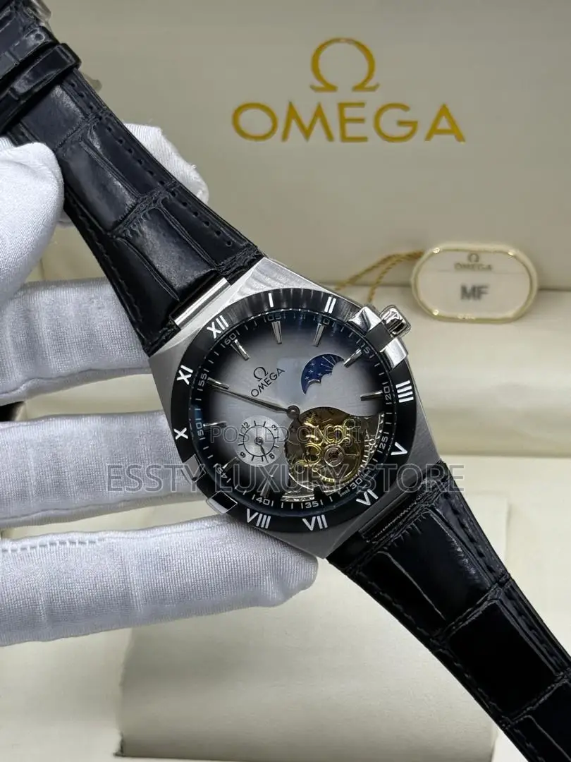 Original Quality Luxury Omega Automatic Engine Leather Wristwatch