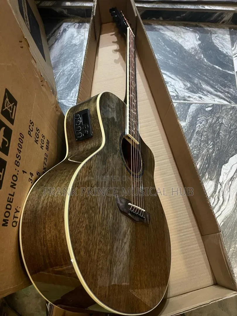 Bullfighter Acoustic-Electric Guitar (Tree of Life Inlay)