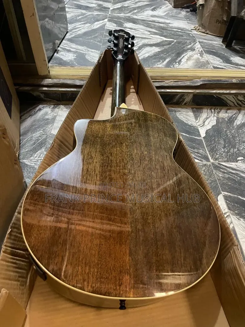 Bullfighter Acoustic-Electric Guitar (Tree of Life Inlay)