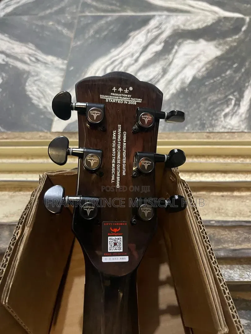 Bullfighter Acoustic-Electric Guitar (Tree of Life Inlay)