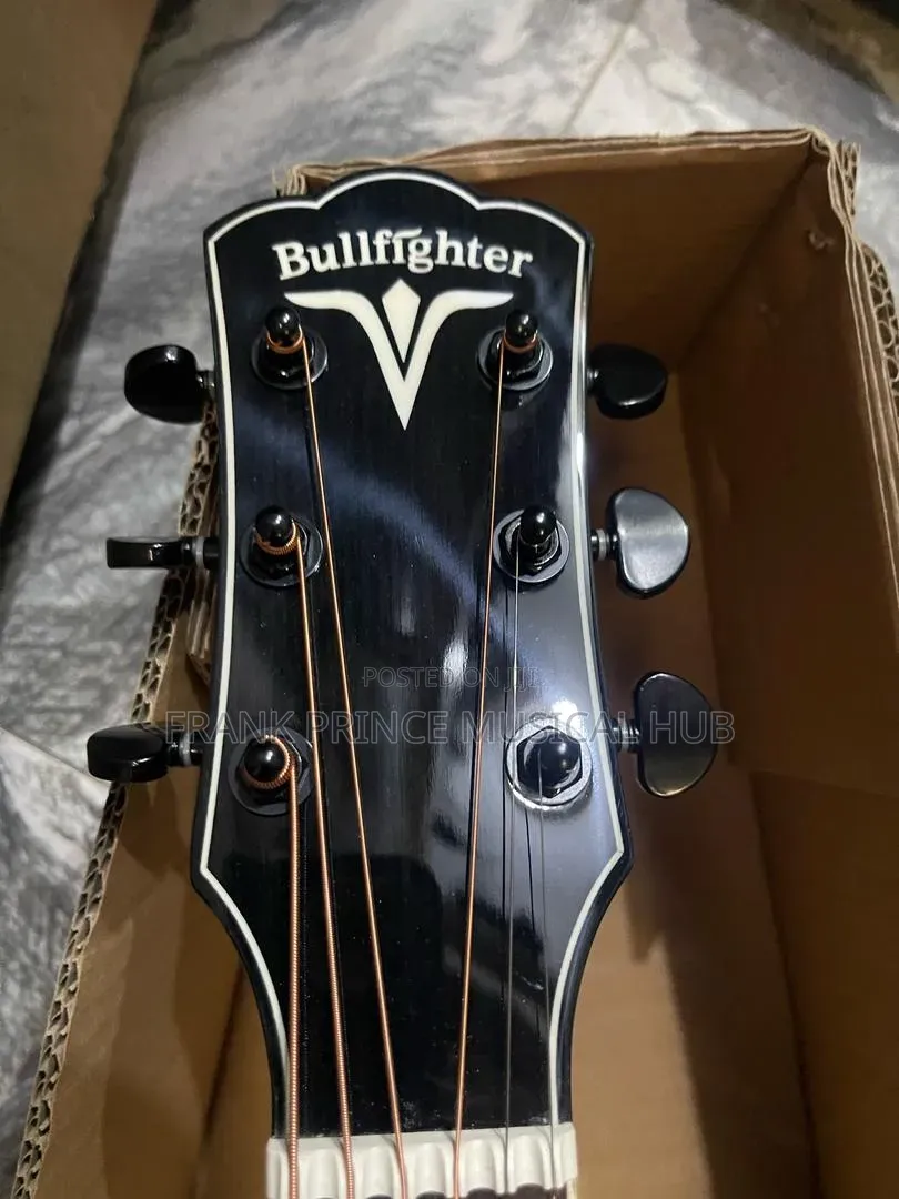 Bullfighter Acoustic-Electric Guitar (Tree of Life Inlay)