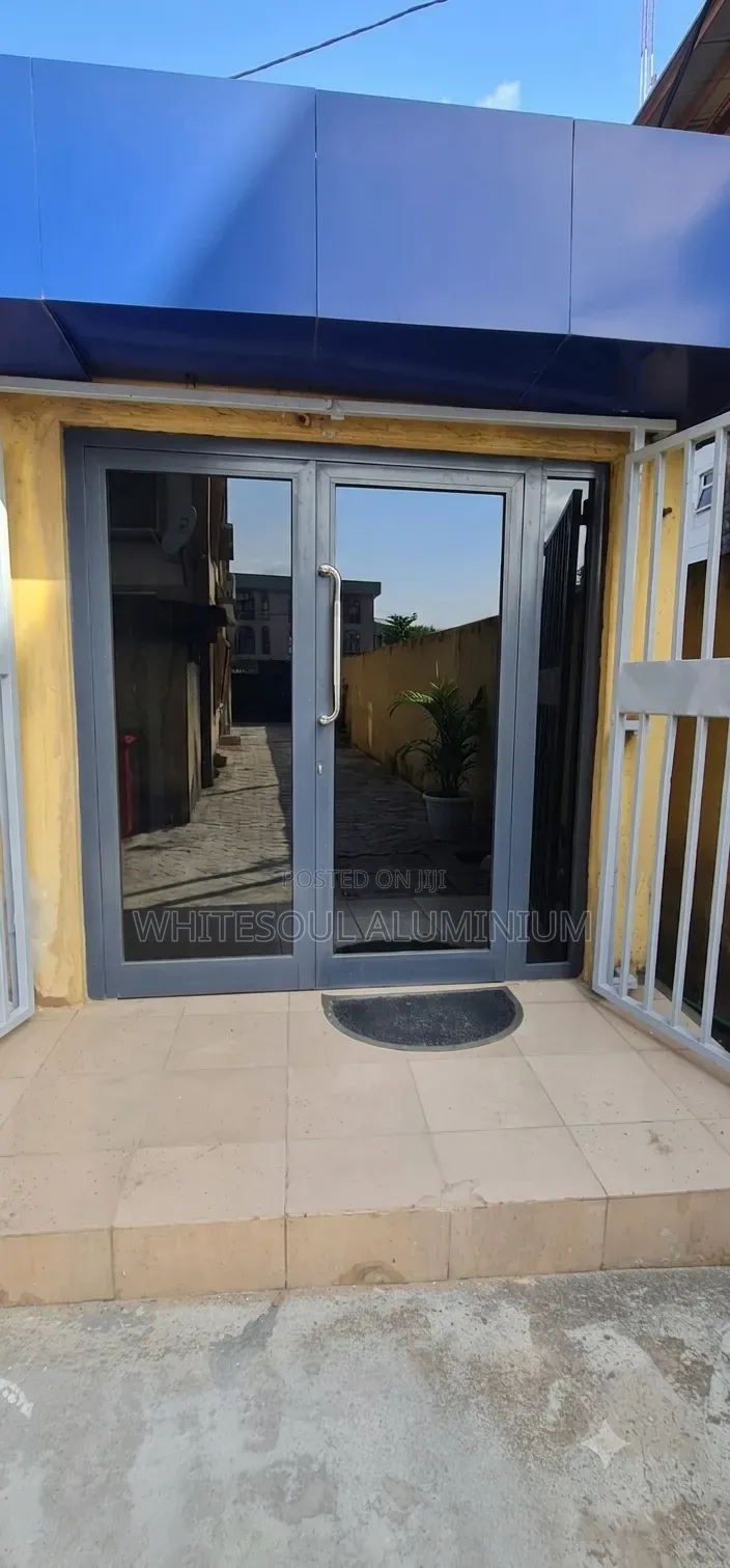 Luxury Aluminum Double Hinge Door With Reflective Glass