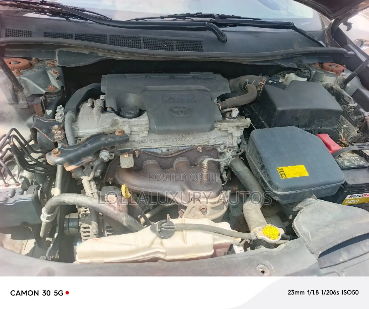 Toyota Camry XLE 4dr Sedan (2.5L 4cyl 6A) 2014 Green