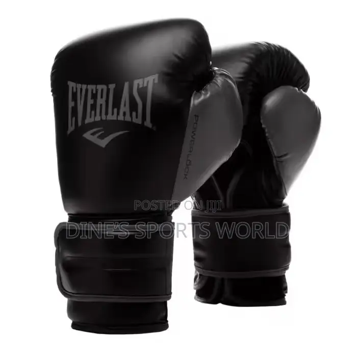 Original Everlast Boxing Gloves