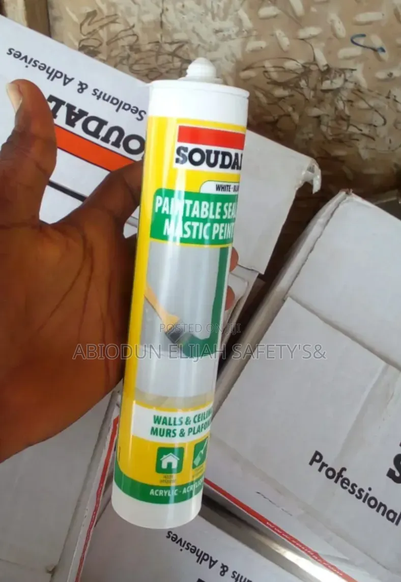 Original Quality Soudal Acrylic Paintable Sealants Gum