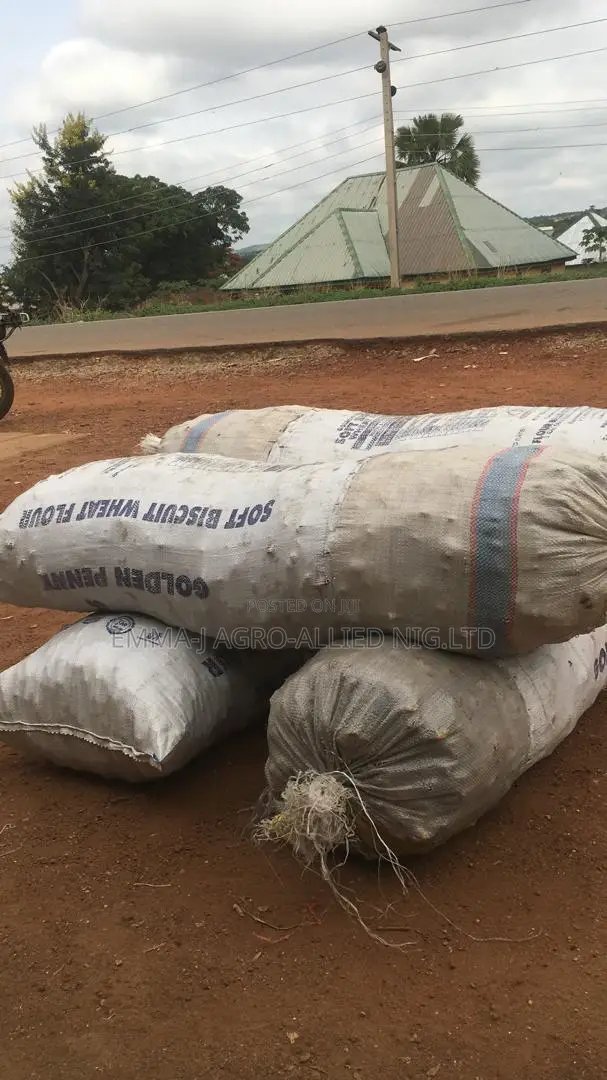 Fresh Ginger Directly Sourced From Kachia, Kaduna
