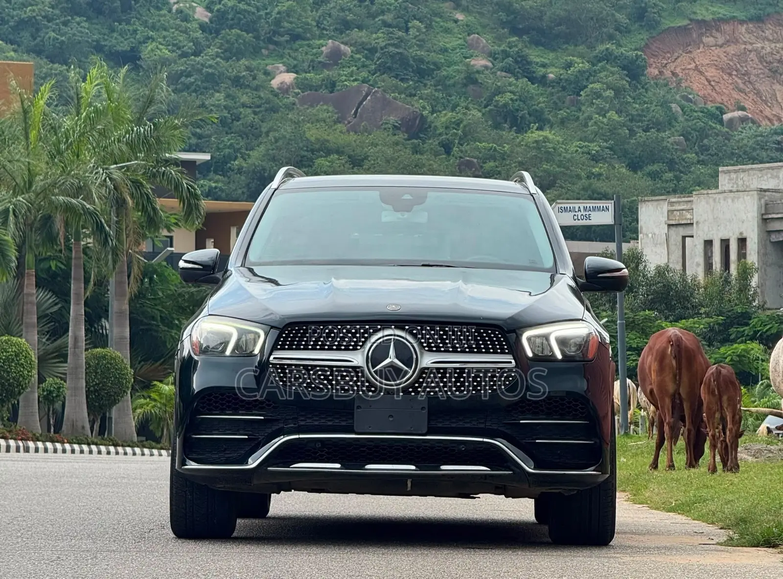 Mercedes-Benz GLE-Class GLE 350 2020 Green