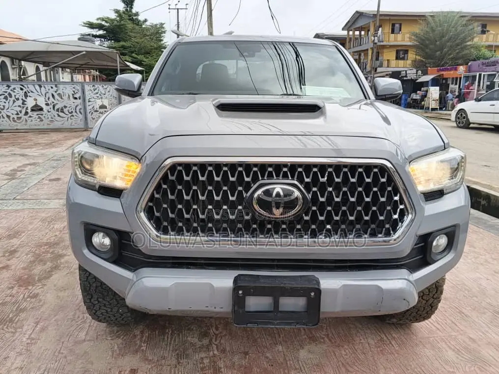 Toyota Tacoma Limited 2019 Gray