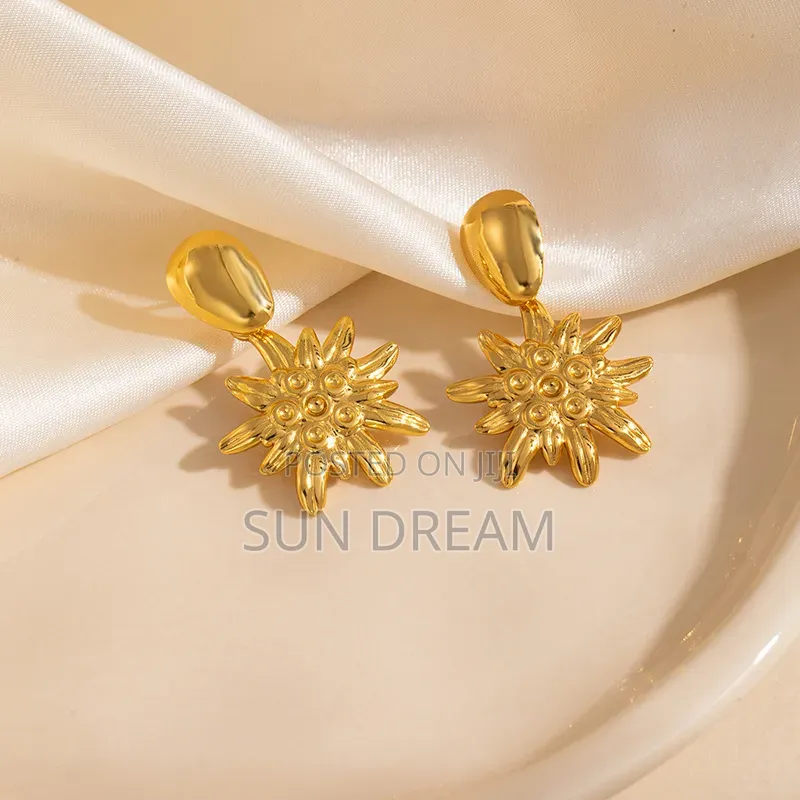 Ladies Earrings Jewelry Accessories Women Earrings