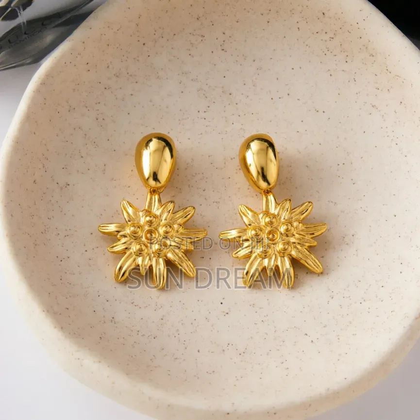 Ladies Earrings Jewelry Accessories Women Earrings