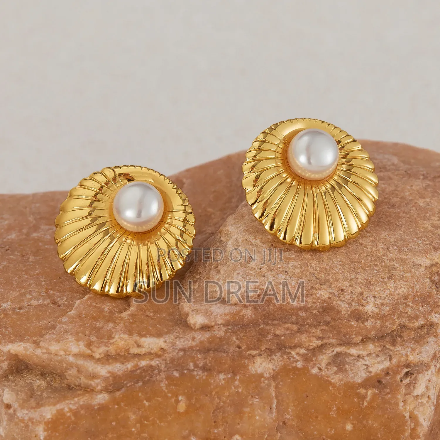 Women Gift Earrings Fashionable Jewelrys