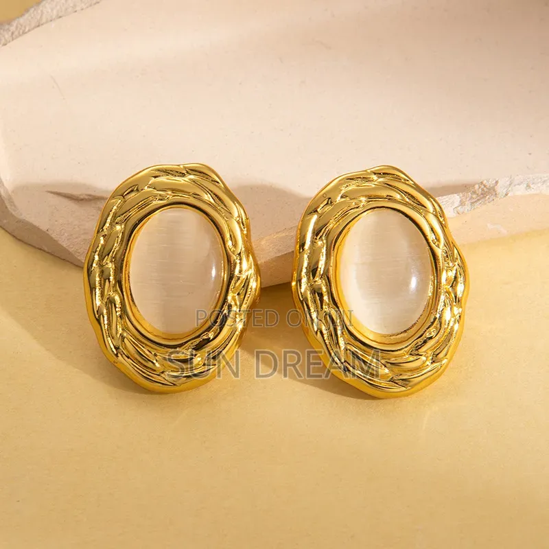Ladies Earrings Jewelry Gift Accessories