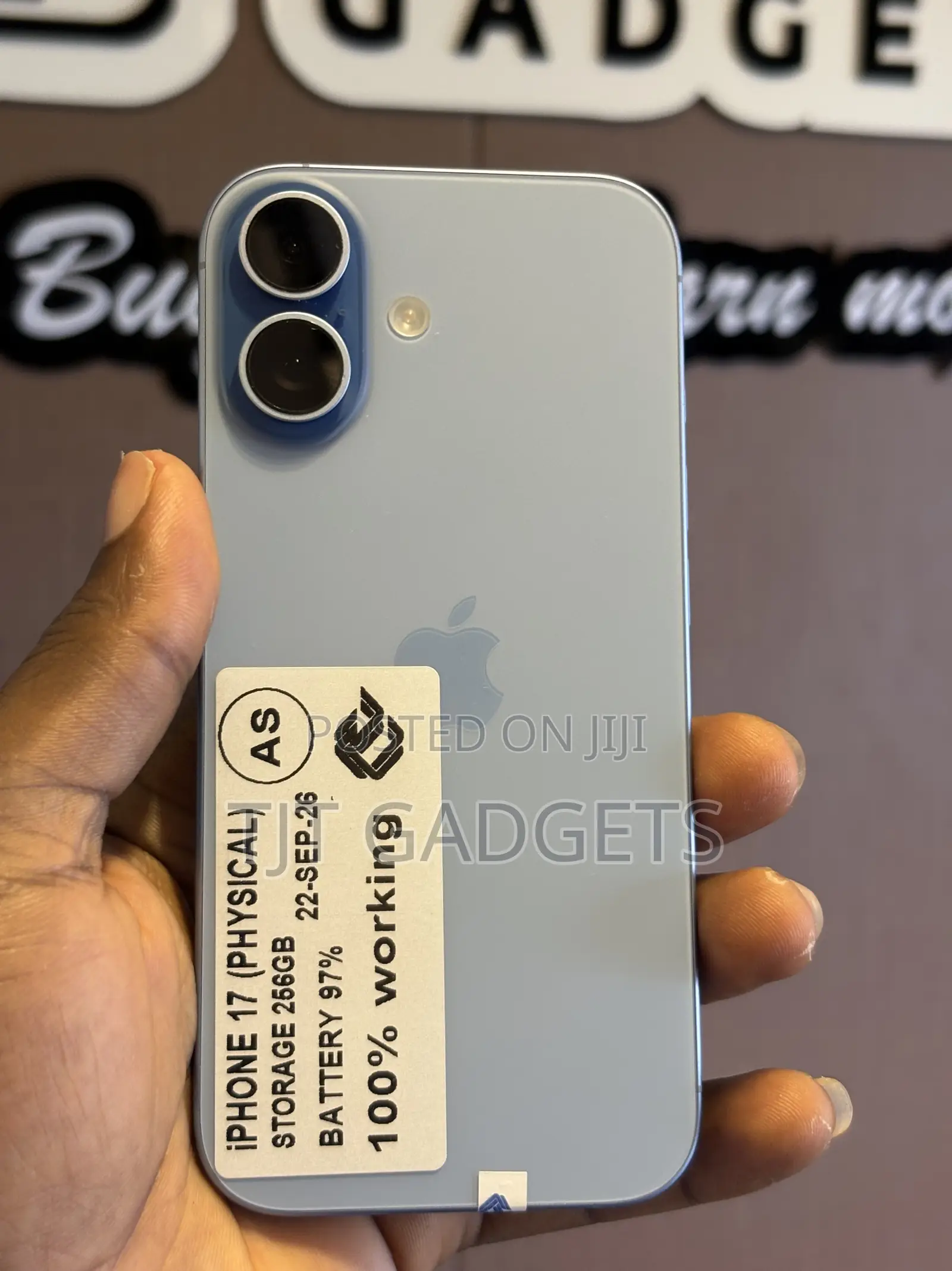 Apple iPhone 17 256 GB Blue
