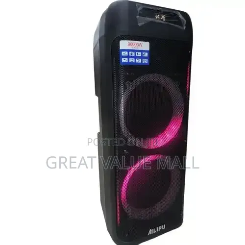 AILIPU Multifunctional Rechargeable 12 Inches Public Address Speaker