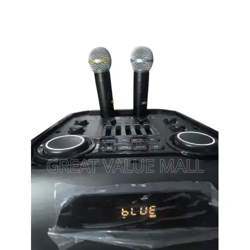 AILIPU Multifunctional Rechargeable 12 Inches Public Address Speaker