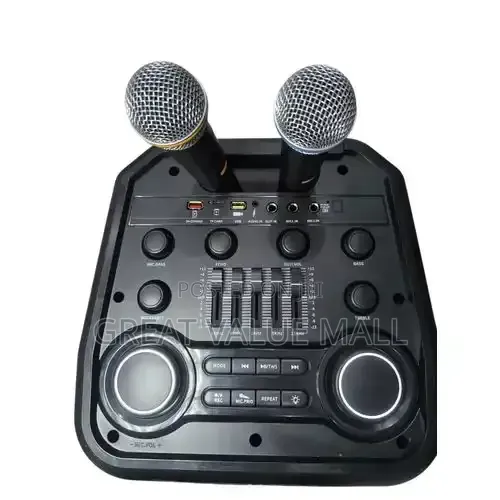 AILIPU Multifunctional Rechargeable 12 Inches Public Address Speaker