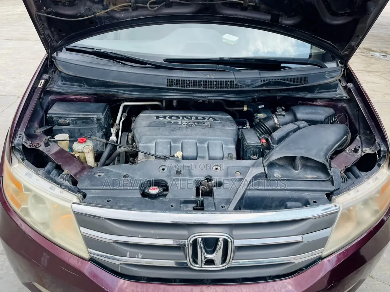 Honda Odyssey 2013 Burgundy
