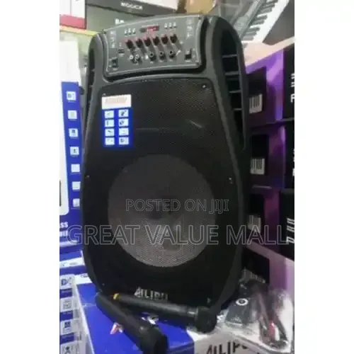 AILIPU 15" Bluetooth Rechargeable Wireless Public Address System