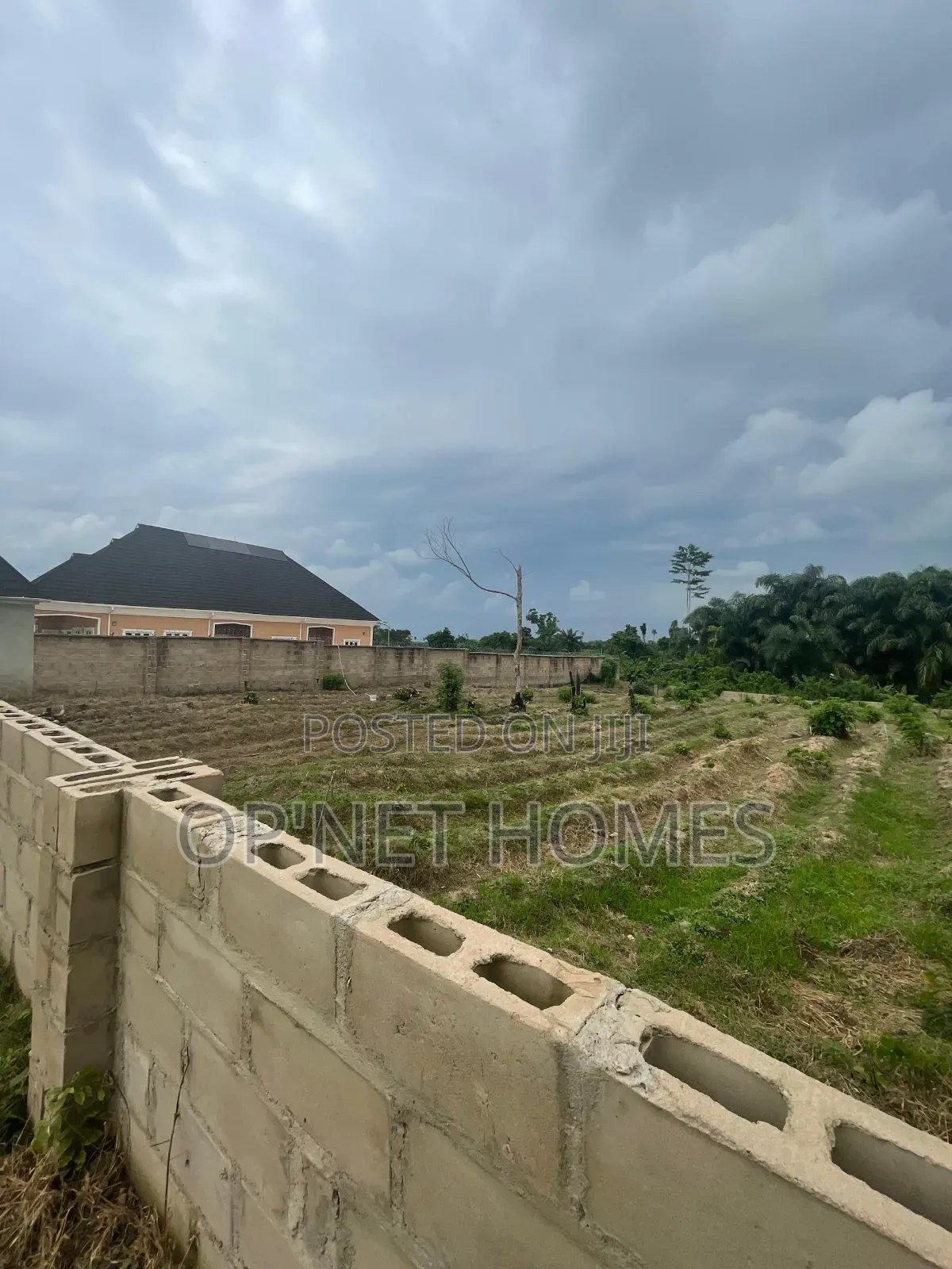 Fenced 2 Plots of Land Is Available