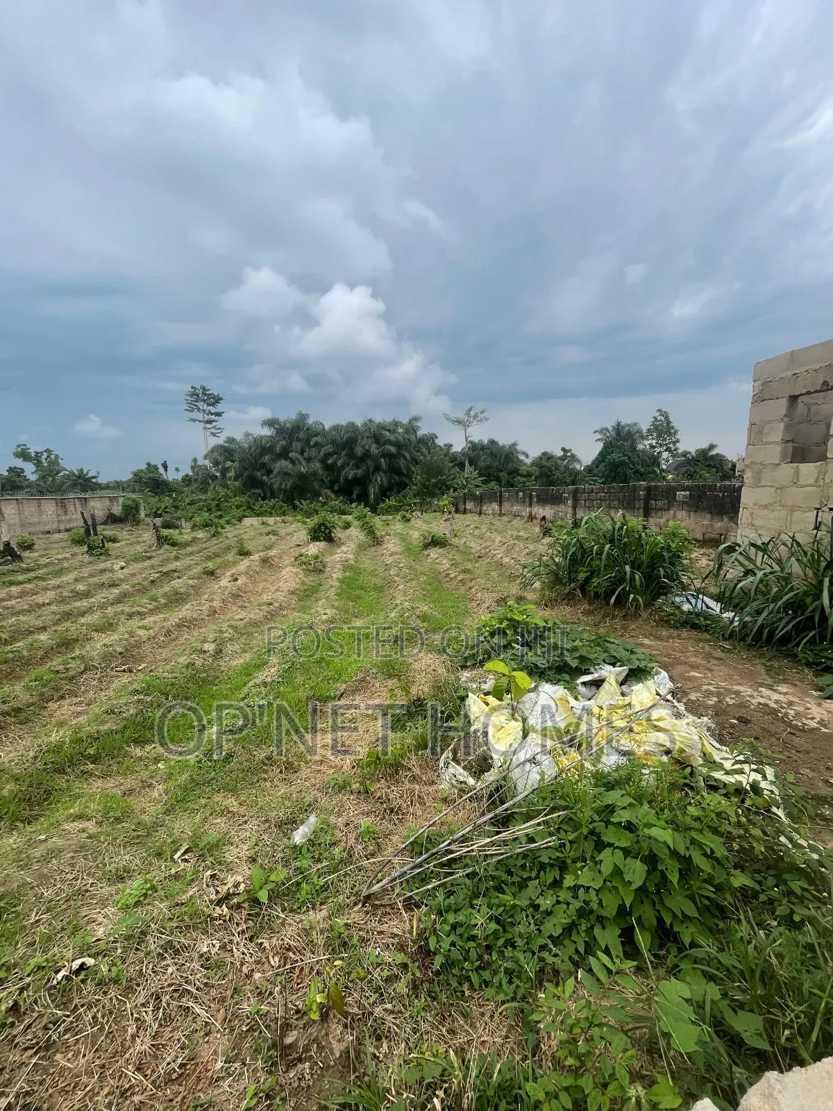 Fenced 2 Plots of Land Is Available