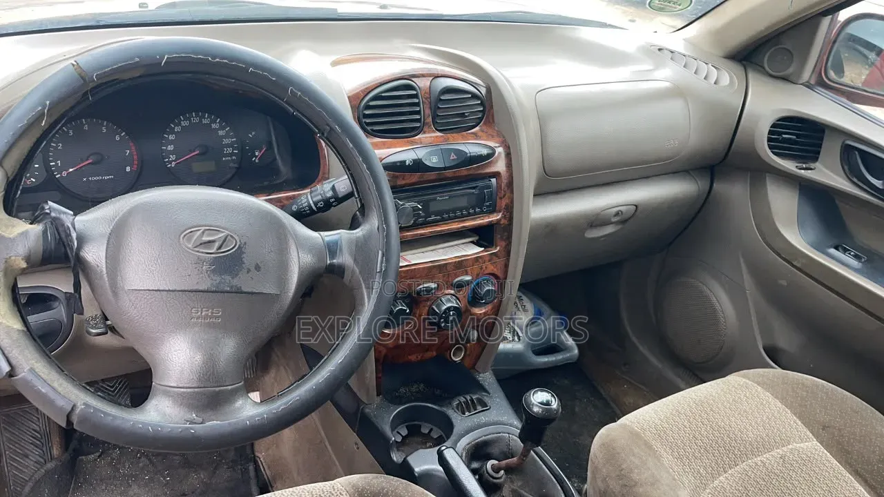 Hyundai Santa Fe 2005 Brown