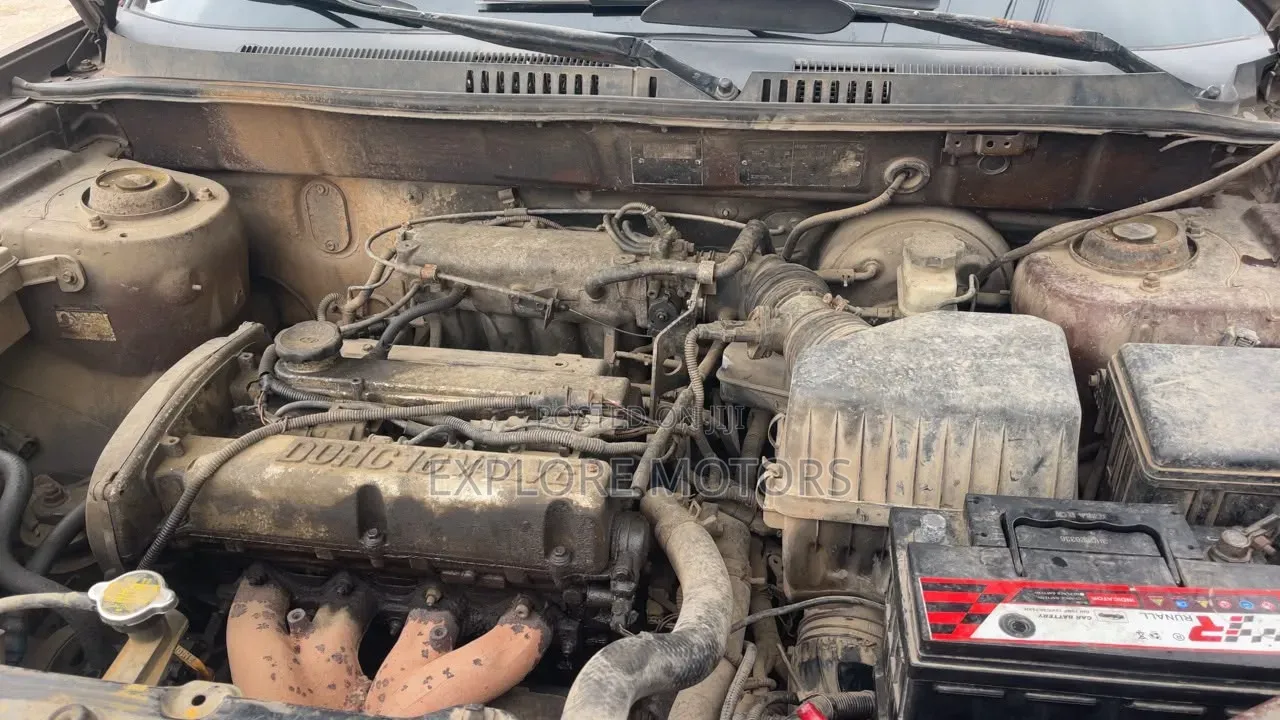 Hyundai Santa Fe 2005 Brown