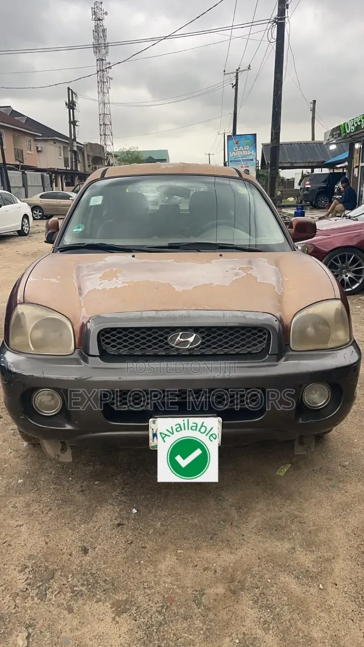 Hyundai Santa Fe 2005 Brown