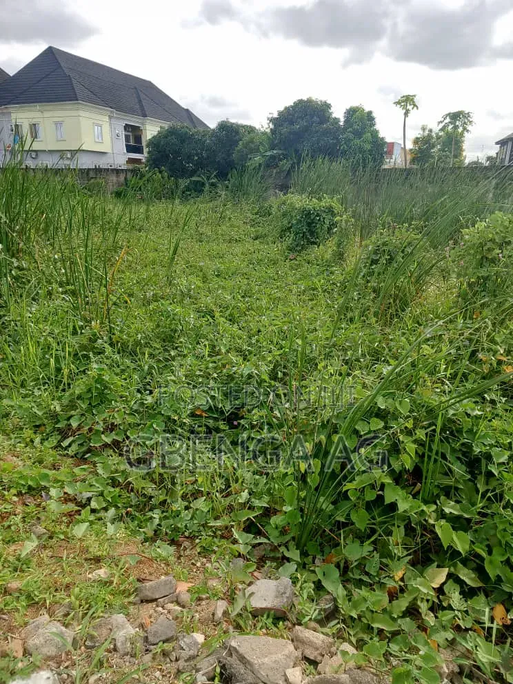 2 Plots of Land Available for JV at Arowojobe Estate Maryland Lagos