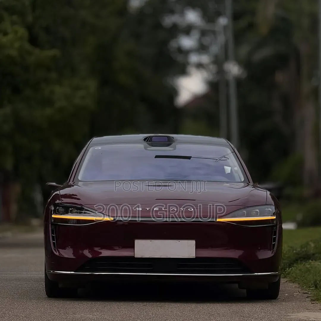 New Stelato S9 2025 Burgundy