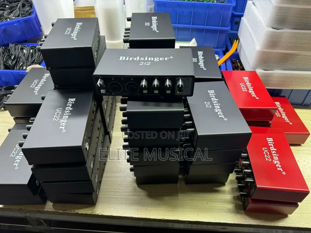 High Quality Bridsinger 2i2 Sound Card
