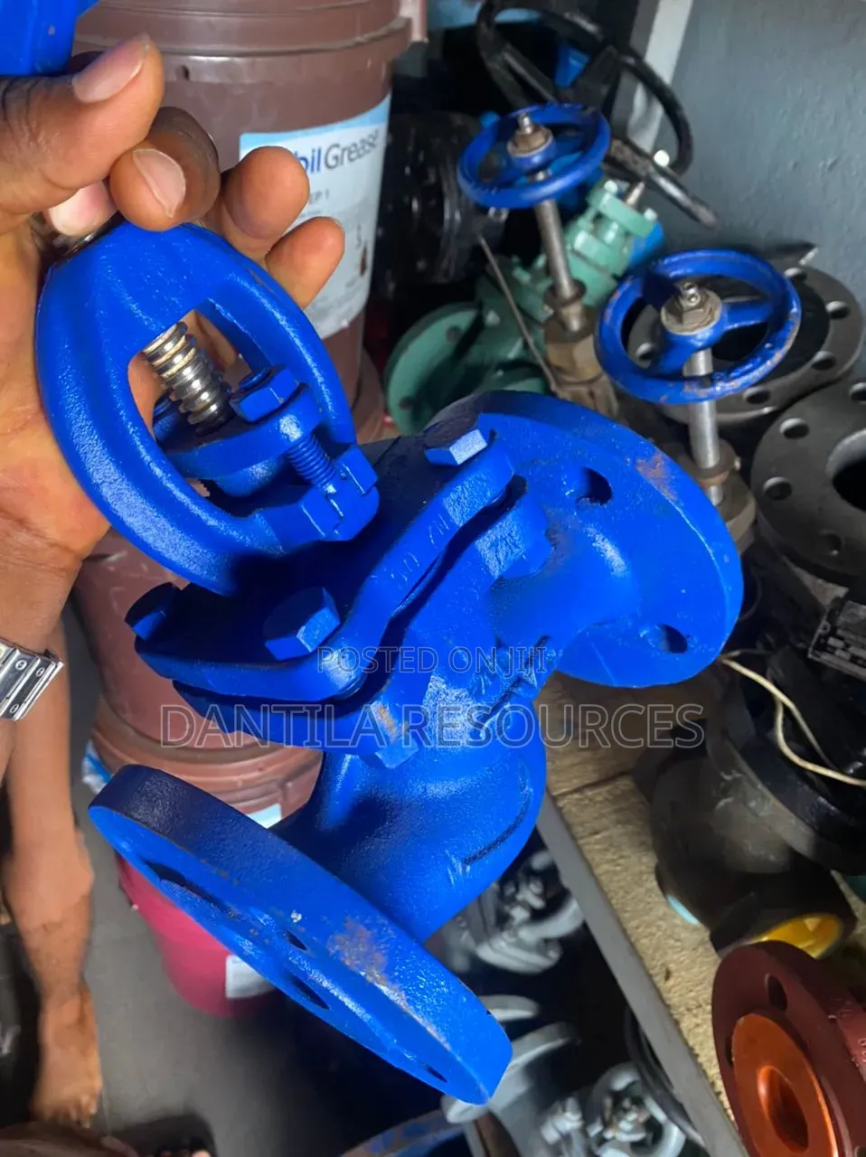 2"Cast Iron Flange Globe Valve